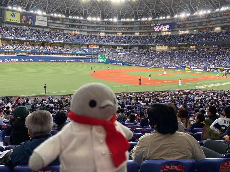 f:id:eo64air:20211110192031j:plain