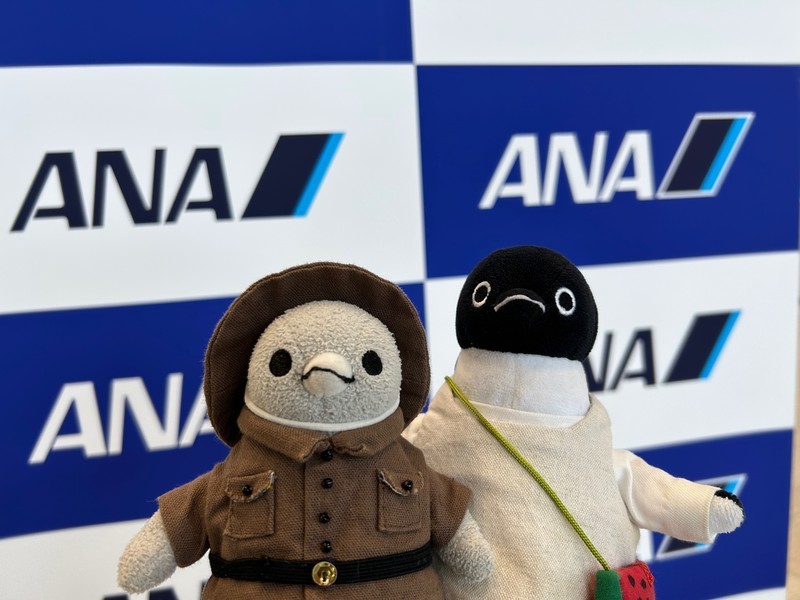 みんなで行こう仙台へ！ちびすけ、久しぶりの飛行機です(優勝するぞ