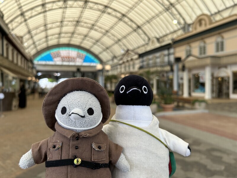 ペンギン姉弟の大発見！楽しいアドベンチャー #ペンギン (白浜旅行その