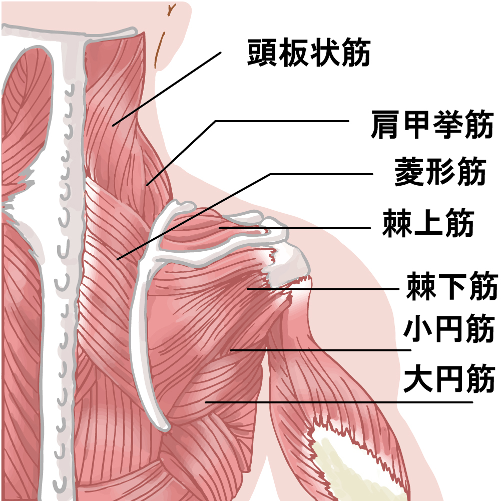 f:id:eole8518:20190120233951j:plain