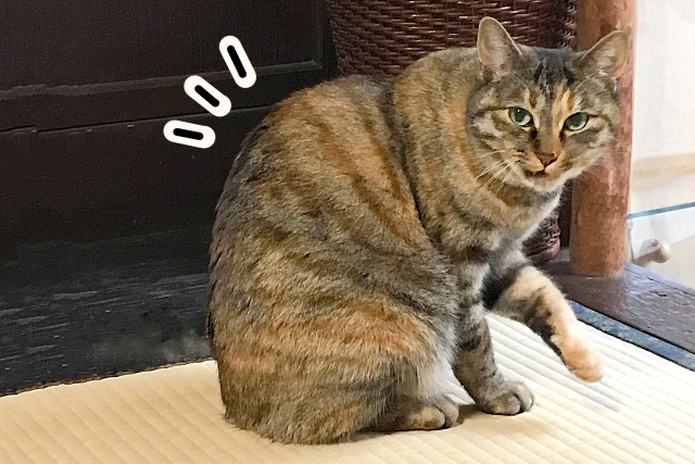 f:id:eole8518:20190121223707j:plain
