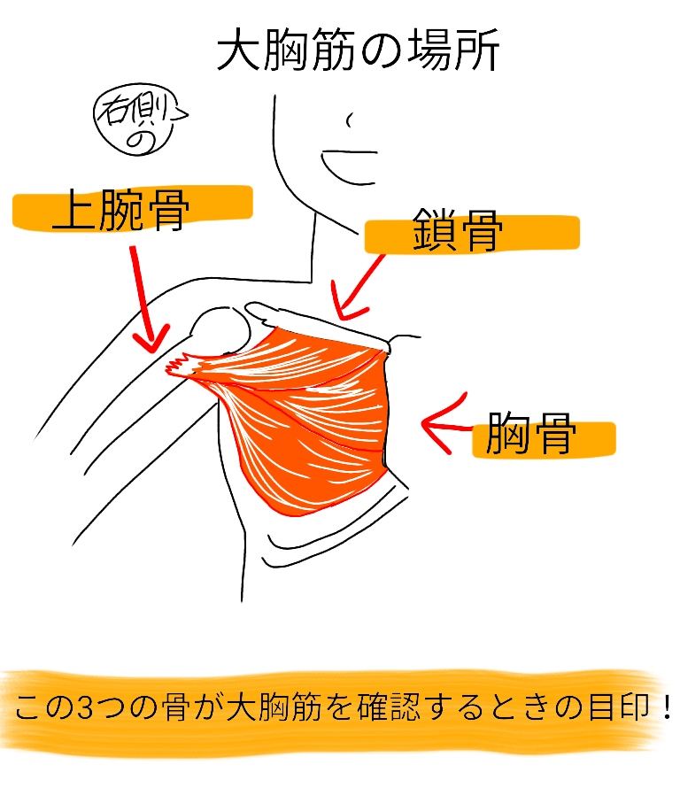f:id:eole8518:20190122102422j:plain