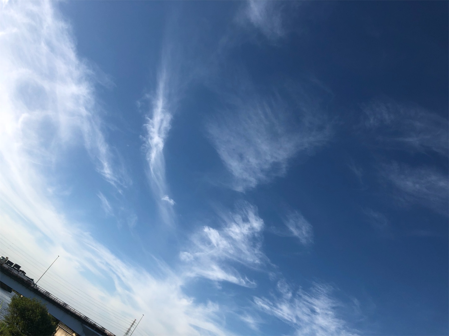 f:id:eonigiri-5656:20190820004526j:image f:id:eonigiri-5656:20190820004526j:image