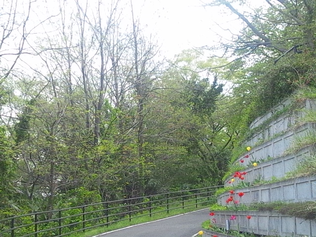 f:id:eoseos:20180412134840j:image f:id:eoseos:20180412134840j:image