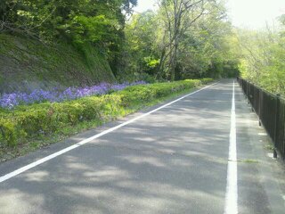 f:id:eoseos:20180520164339j:image f:id:eoseos:20180520164339j:image