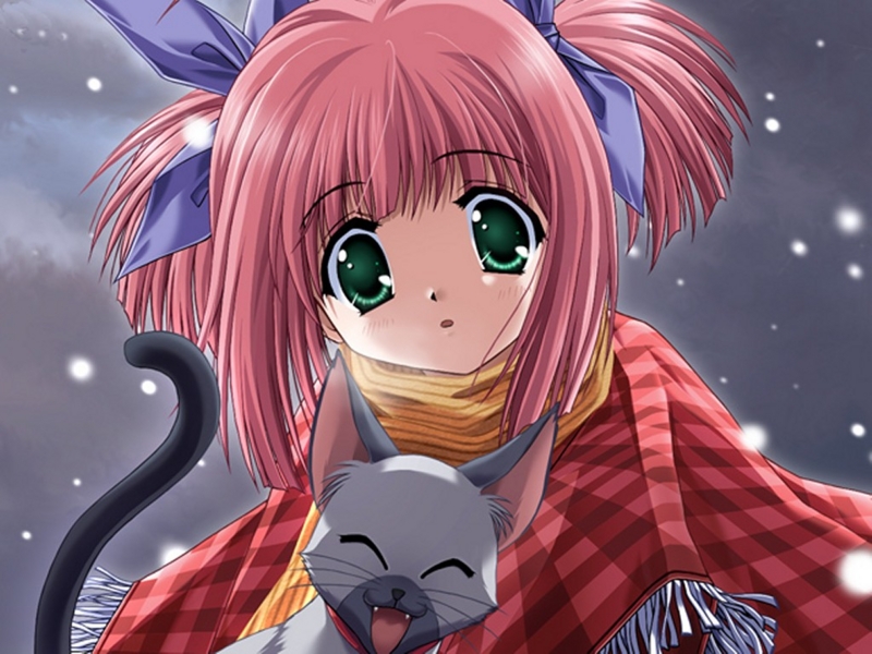 f:id:ep_meister:20130609010416j:image