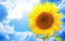 20160725190152