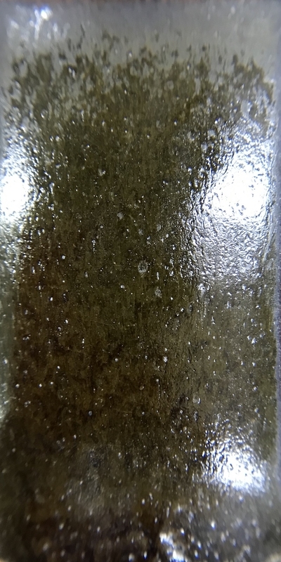 f:id:epidemic_glazes:20210420175730j:plain
