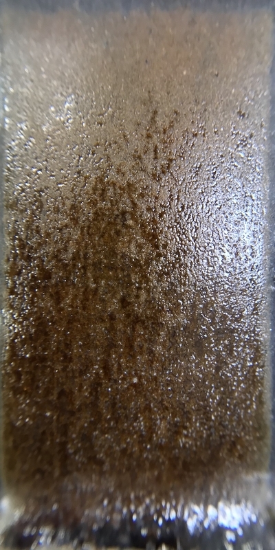 f:id:epidemic_glazes:20210420175750j:plain