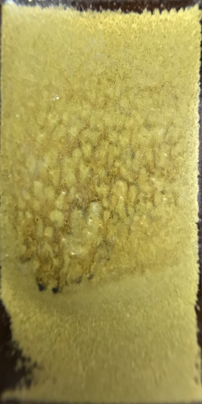 f:id:epidemic_glazes:20210421221911j:plain
