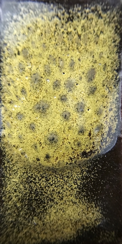 f:id:epidemic_glazes:20210421221920j:plain