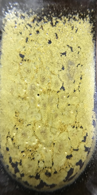 f:id:epidemic_glazes:20210421221930j:plain