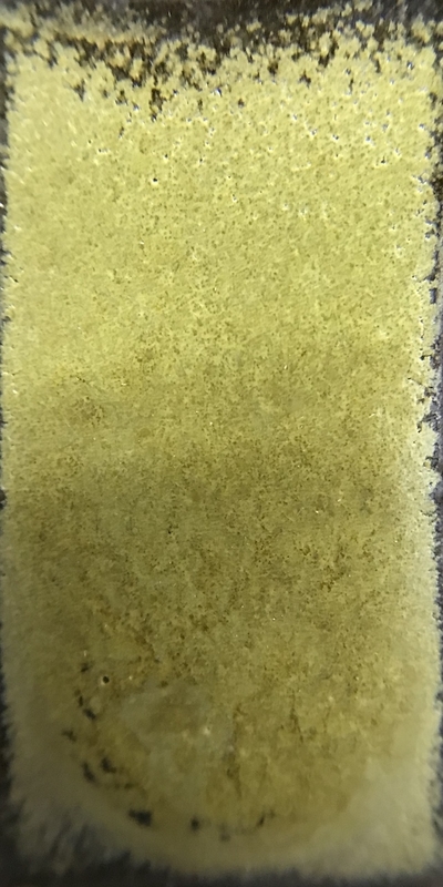 f:id:epidemic_glazes:20210421221935j:plain