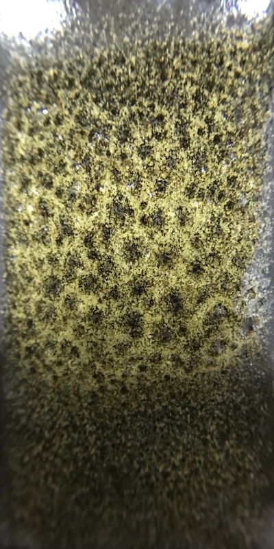 f:id:epidemic_glazes:20210421221950j:plain