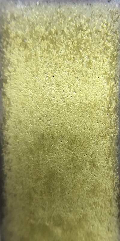 f:id:epidemic_glazes:20210421222000j:plain