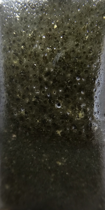 f:id:epidemic_glazes:20210421222016j:plain
