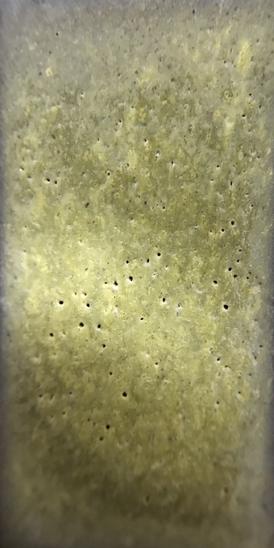 f:id:epidemic_glazes:20210421222025j:plain