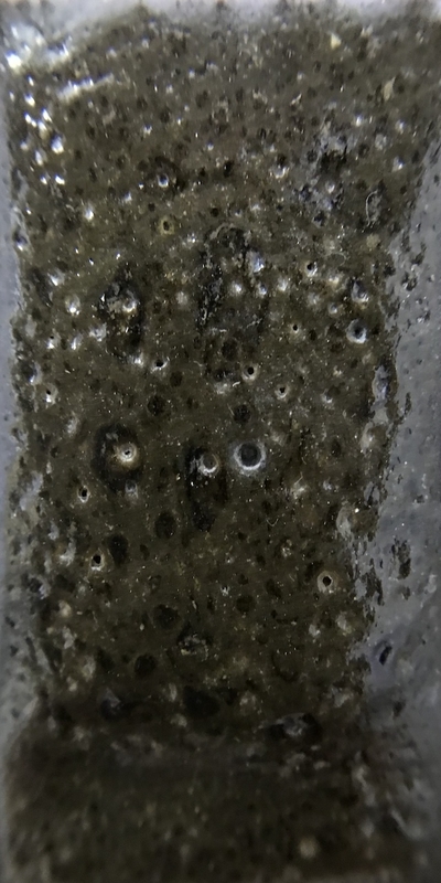 f:id:epidemic_glazes:20210421222035j:plain