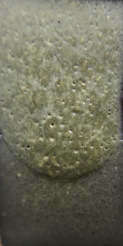 f:id:epidemic_glazes:20210421222050j:plain