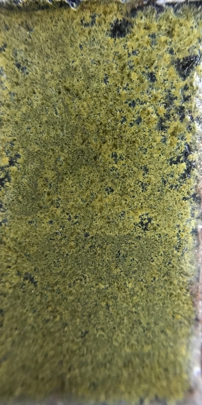 f:id:epidemic_glazes:20210421235112j:plain