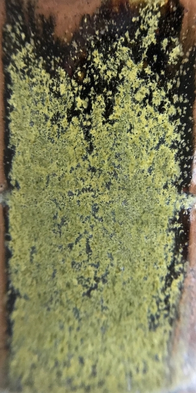 f:id:epidemic_glazes:20210421235122j:plain