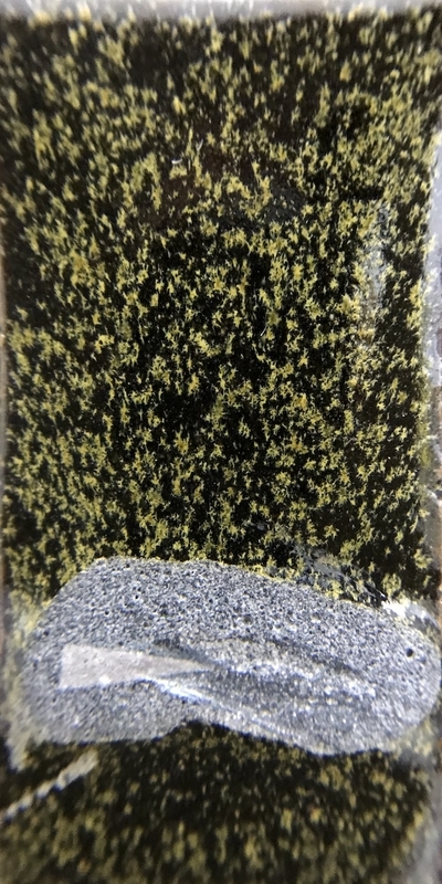 f:id:epidemic_glazes:20210421235139j:plain