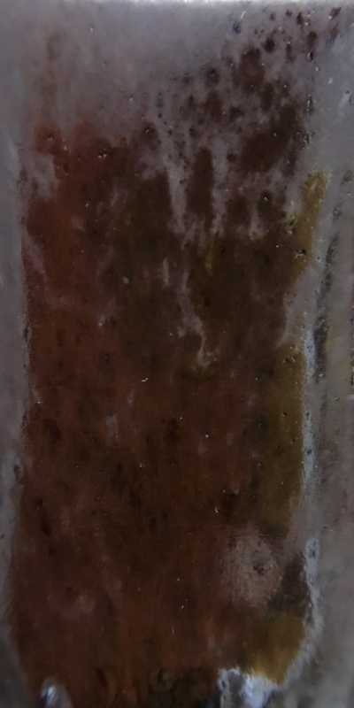 f:id:epidemic_glazes:20210427210249j:plain