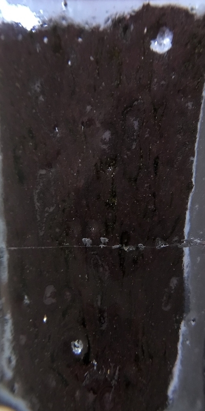 f:id:epidemic_glazes:20210430080239j:plain