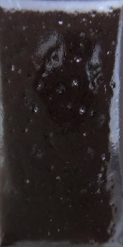 f:id:epidemic_glazes:20210430080306j:plain