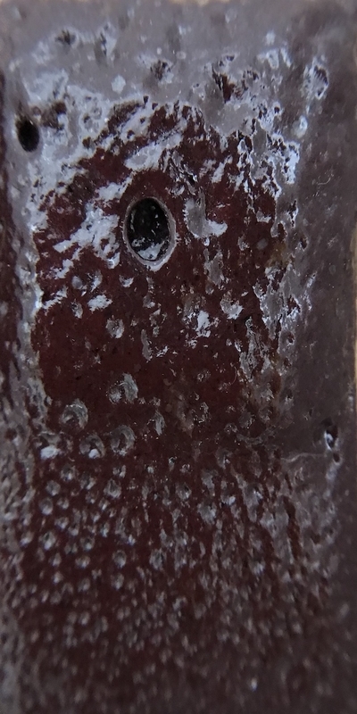 f:id:epidemic_glazes:20210430080311j:plain