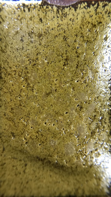 f:id:epidemic_glazes:20210820220538j:plain