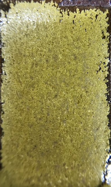 f:id:epidemic_glazes:20210820220542j:plain