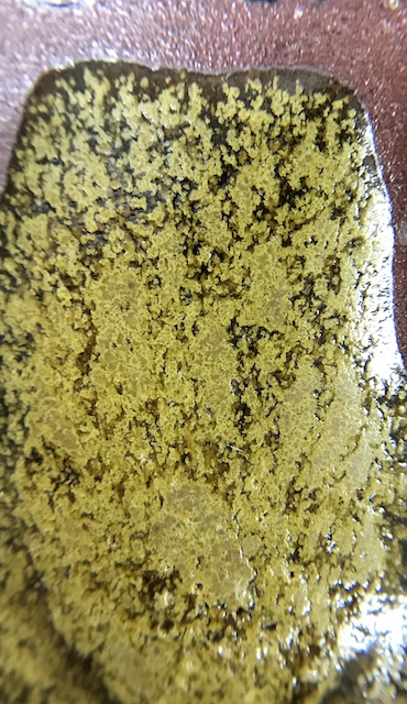 f:id:epidemic_glazes:20210820220553j:plain