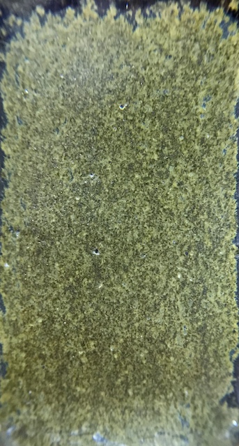 f:id:epidemic_glazes:20210820220704j:plain