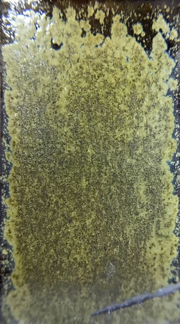 f:id:epidemic_glazes:20210820220708j:plain
