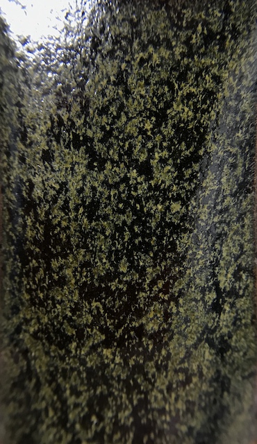 f:id:epidemic_glazes:20210820220717j:plain