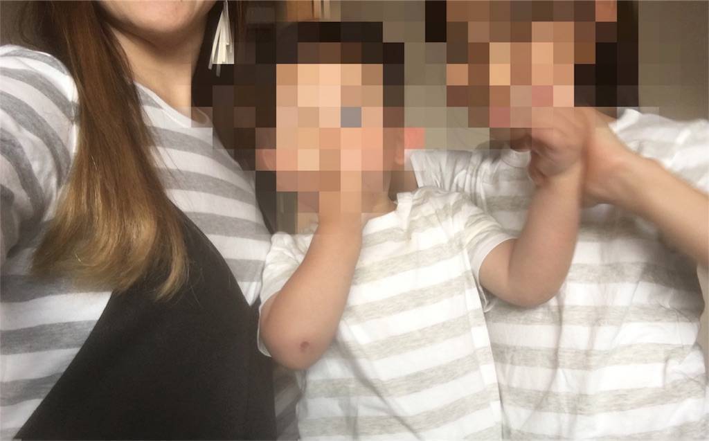 f:id:epinkflower:20180510032816j:image