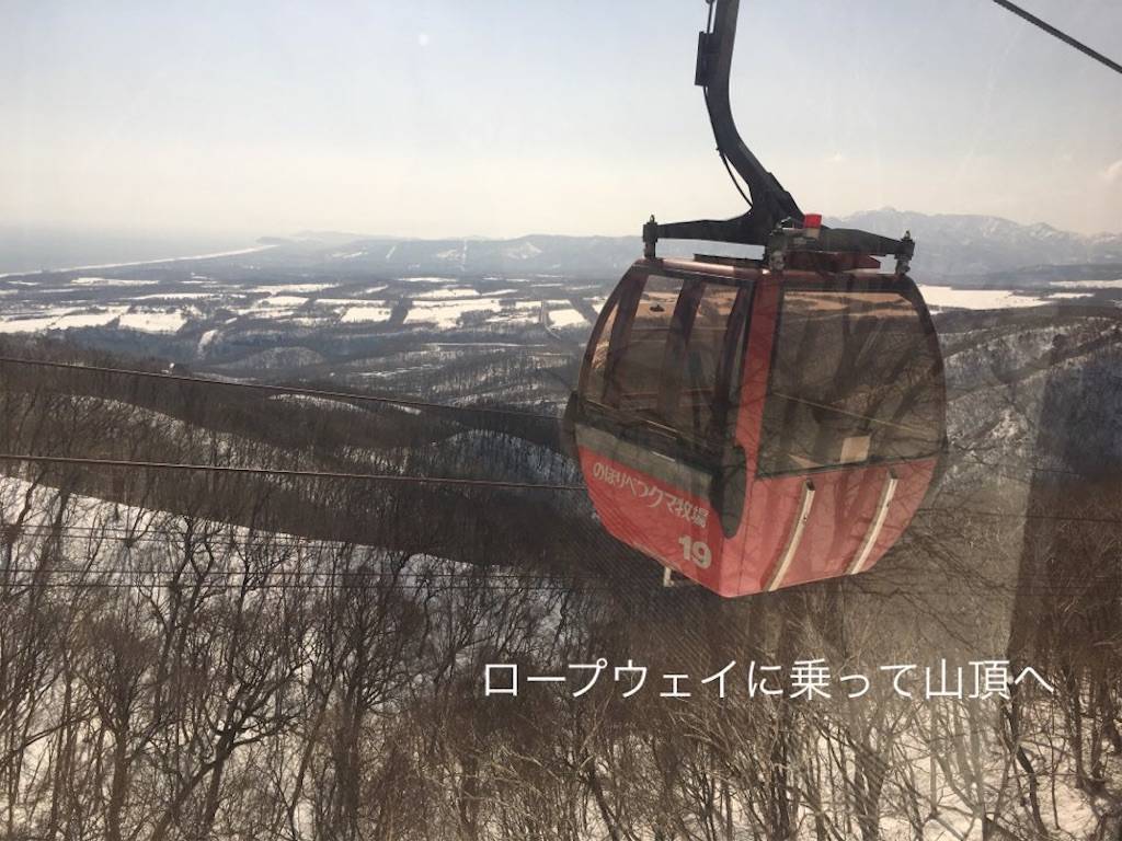 f:id:epinkflower:20220415110400j:plain