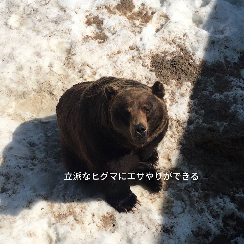 f:id:epinkflower:20220415110414j:plain