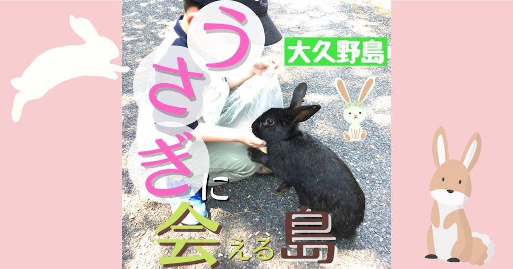 広島のうさぎ島へ行ってきたよ Gwは大久野島で動物とのふれあいを楽しみました 選びながら生きていく