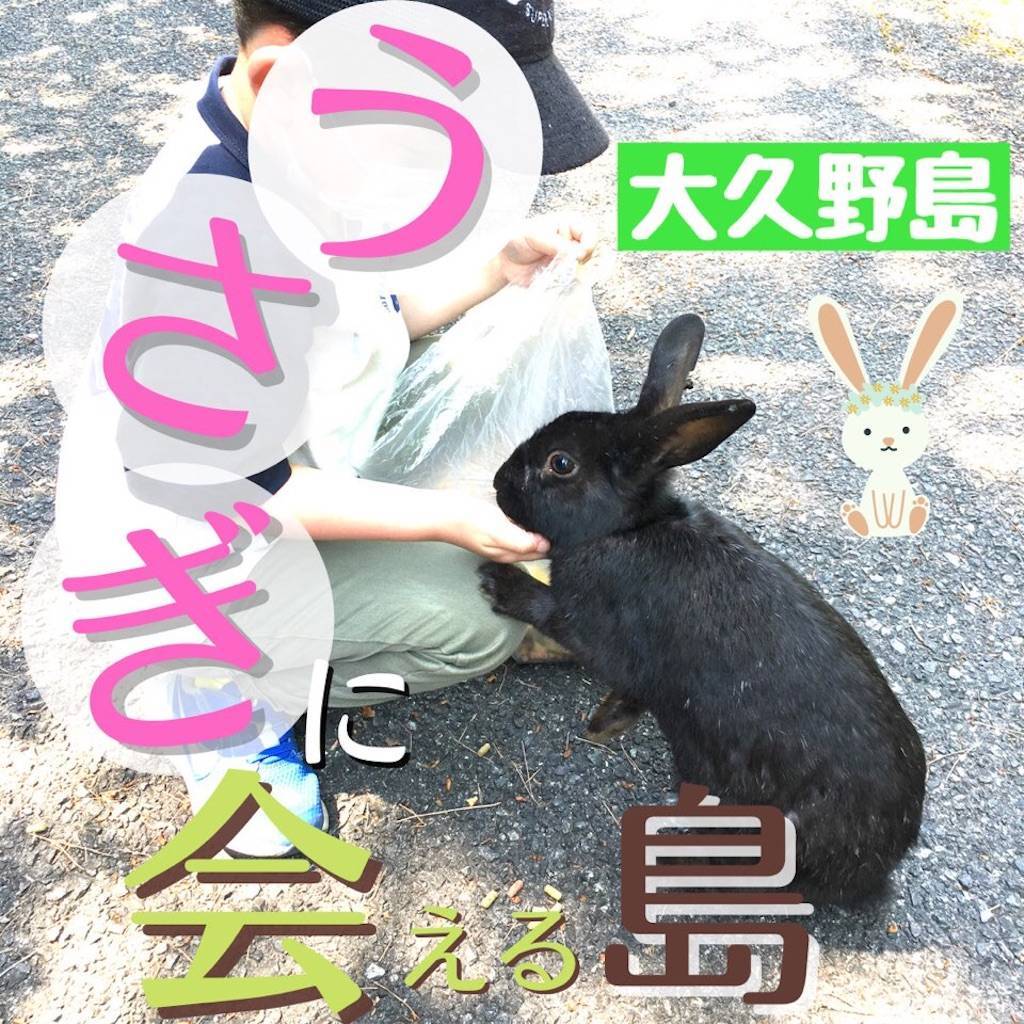 広島のうさぎ島へ行ってきたよ！大久野島で動物とのふれあいを楽しみ
