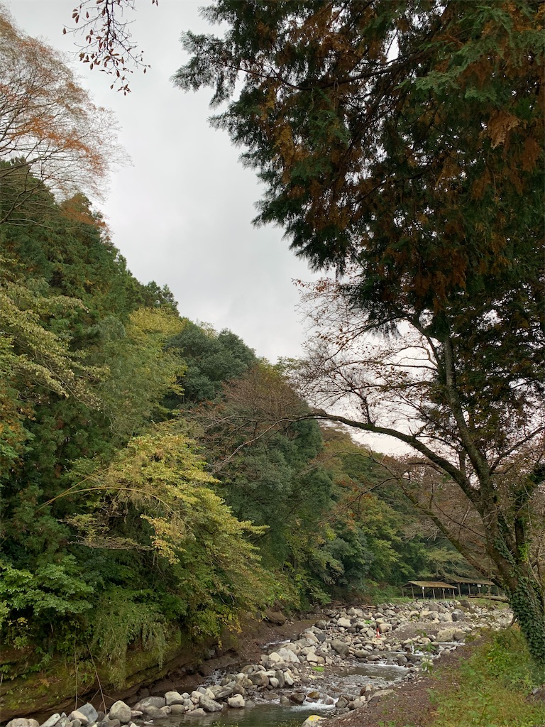 f:id:epitta:20201103185206j:plain