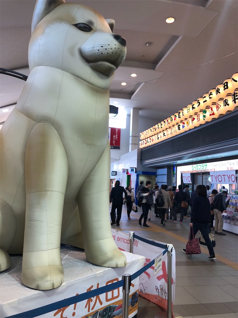 f:id:epokopoko:20200306195543j:image f:id:epokopoko:20200306195543j:image