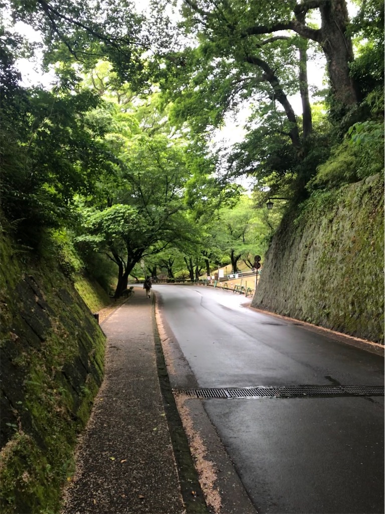 f:id:epokopoko:20200404210511j:image