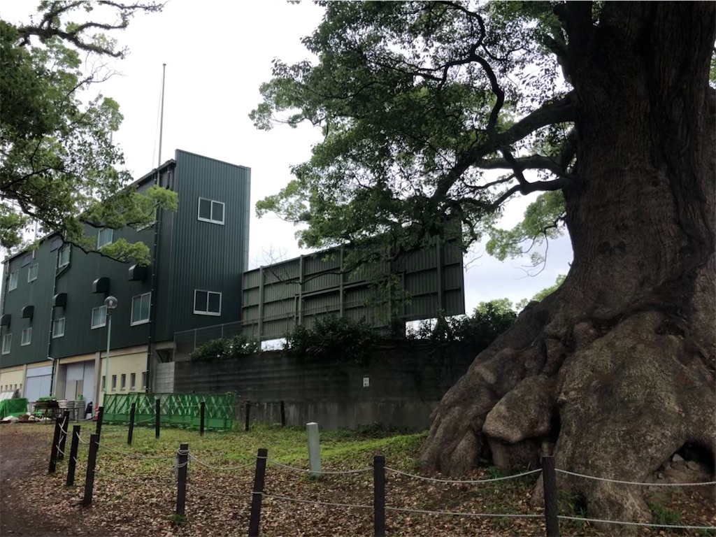 f:id:epokopoko:20200404210928j:image