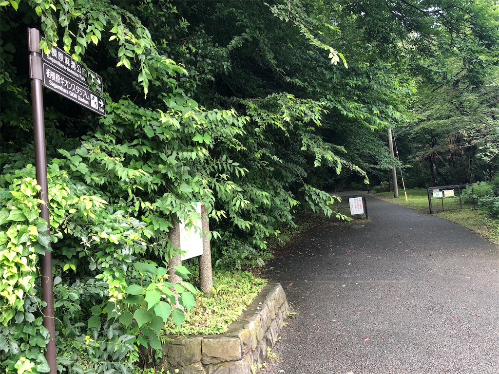 f:id:epokopoko:20200719090842j:image f:id:epokopoko:20200719090842j:image