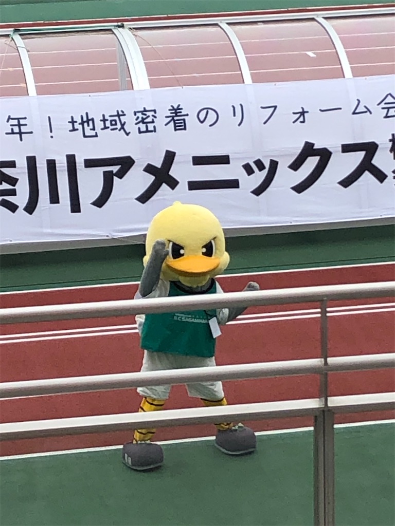 f:id:epokopoko:20200719091346j:image f:id:epokopoko:20200719091346j:image