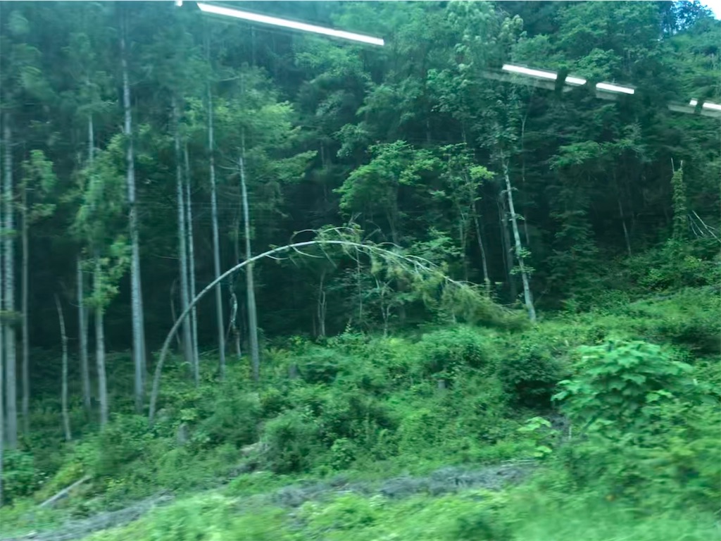 f:id:epokopoko:20201107120429j:image