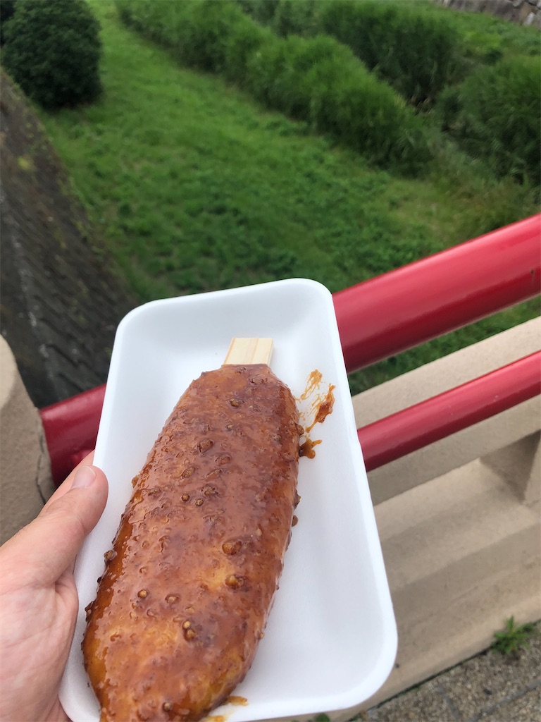 f:id:epokopoko:20201119091737j:image