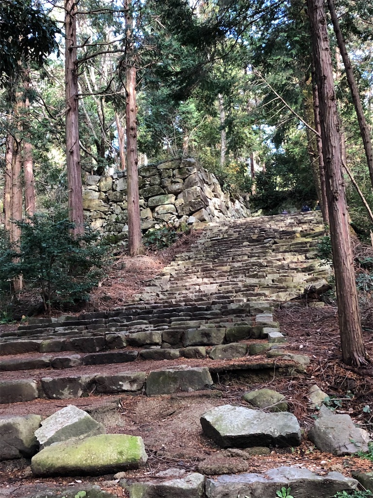 f:id:epokopoko:20201224144228j:image